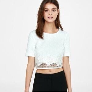 Express Jacquard Floral Netted Crop Top